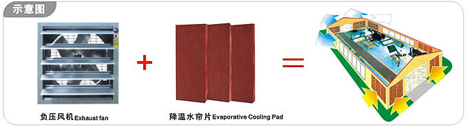 廣州廠房通風(fēng)降溫的方案、豪華形負(fù)壓風(fēng)機(jī)